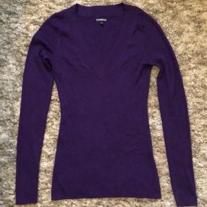 Express Purple V-Neck Sweater